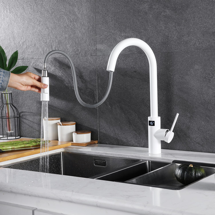 White Touch on Digital Kitchen - Commercial Kitchen Faucet 评论和价格